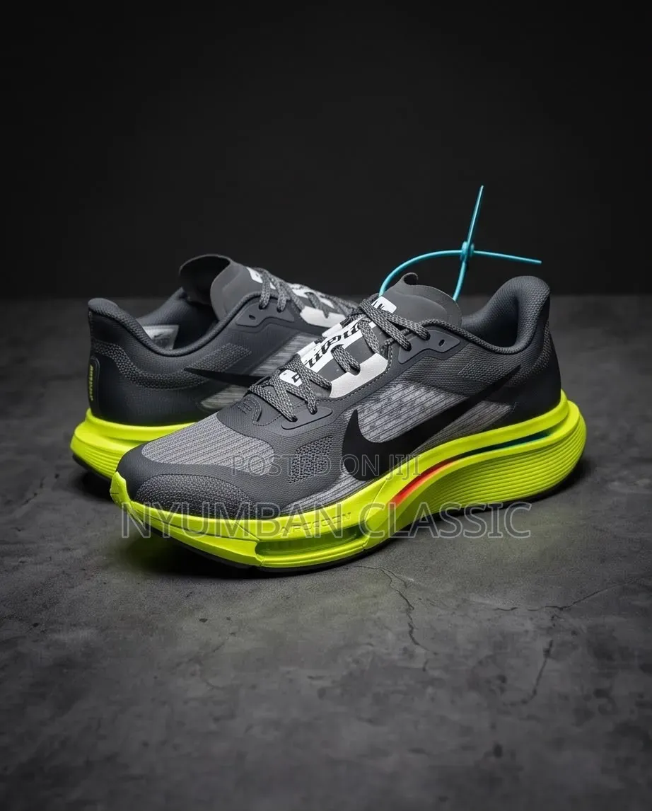 Nike Pegasus Plus 2 Shoes