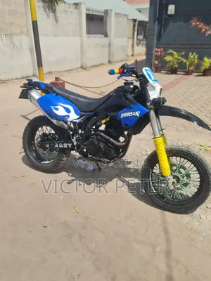 Kawasaki Bike 2010