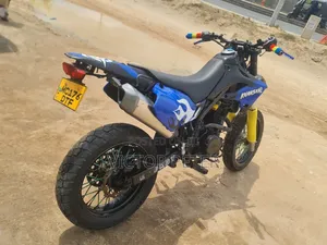 Kawasaki Bike 2010