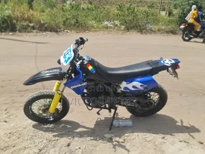 Kawasaki Bike 2010