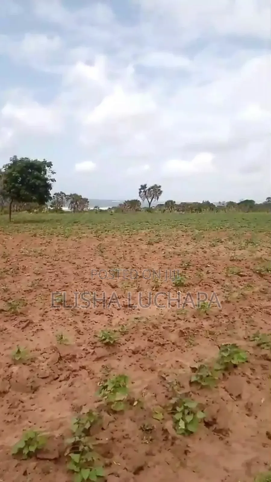 10 Acres Plot for Sale at Mbutu