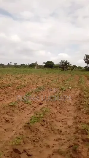10 Acres Plot for Sale at Mbutu
