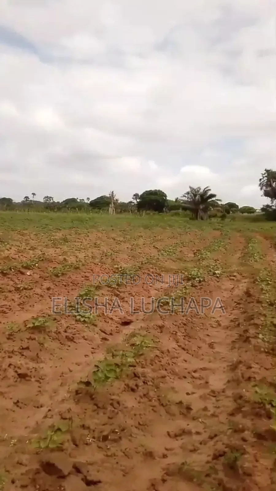 10 Acres Plot for Sale at Mbutu
