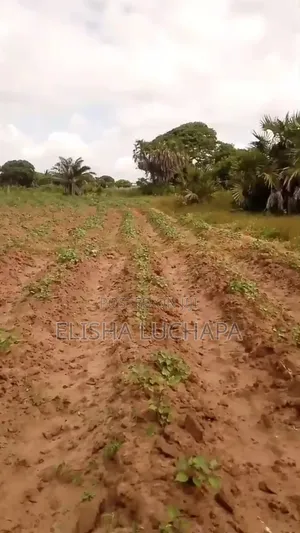 10 Acres Plot for Sale at Mbutu