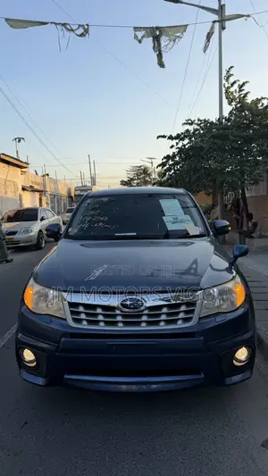 Subaru Forester 2011 Blue