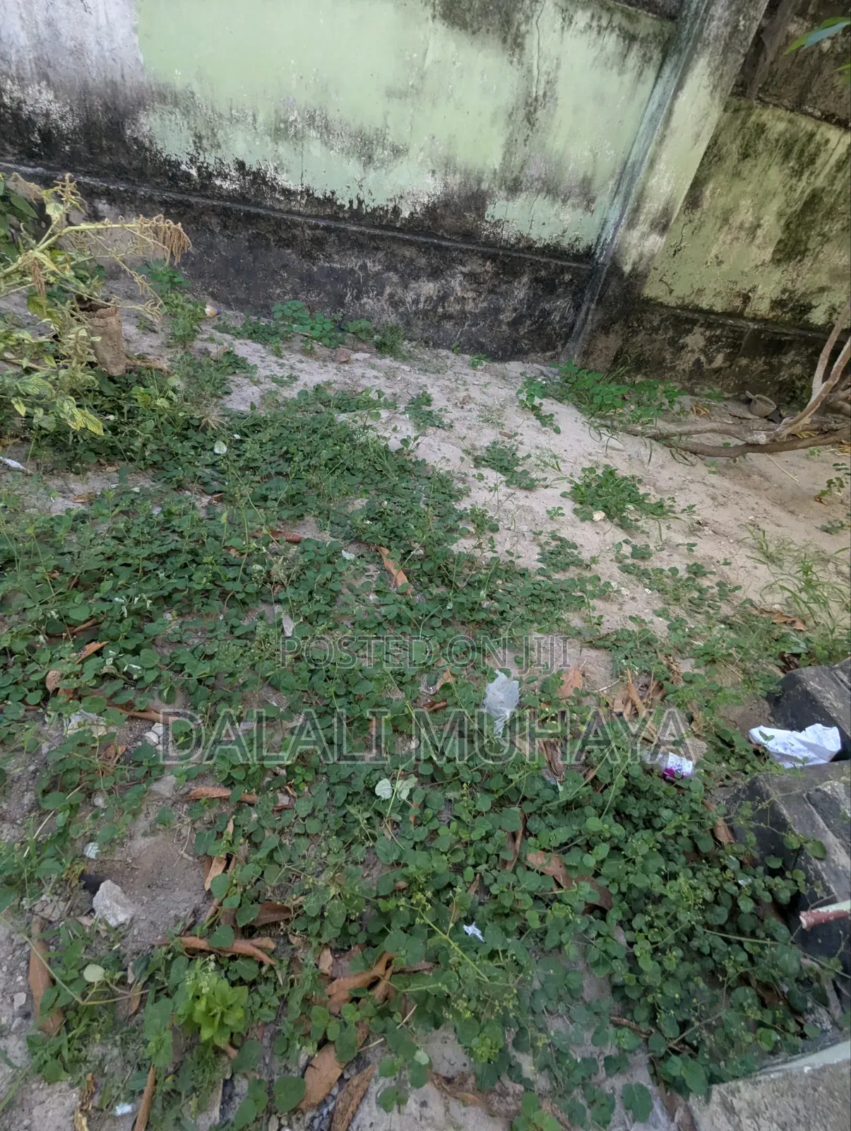 4bdrm House in Mgeni Nani Street, Mbagala for sale