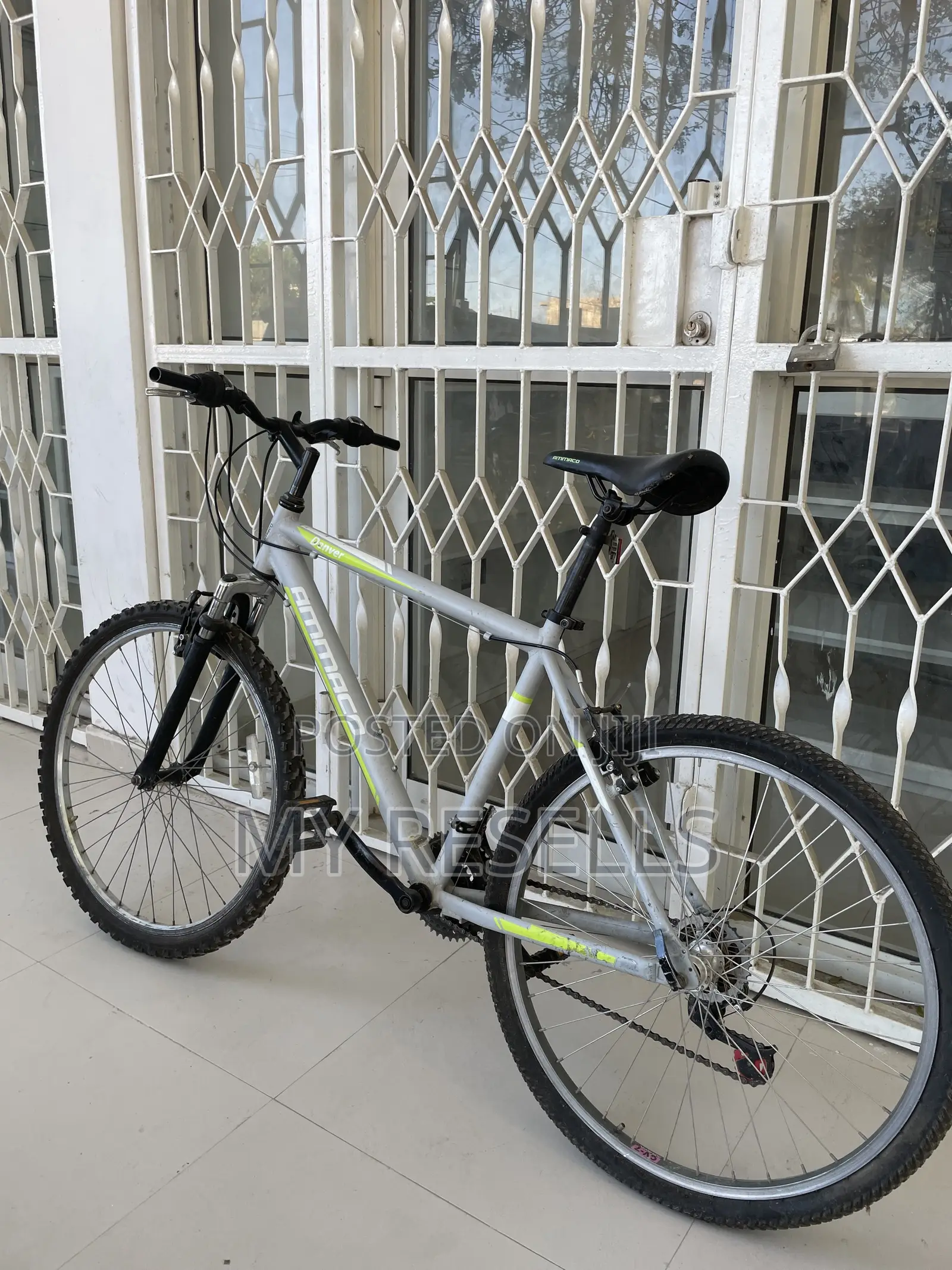 Mountain Bike