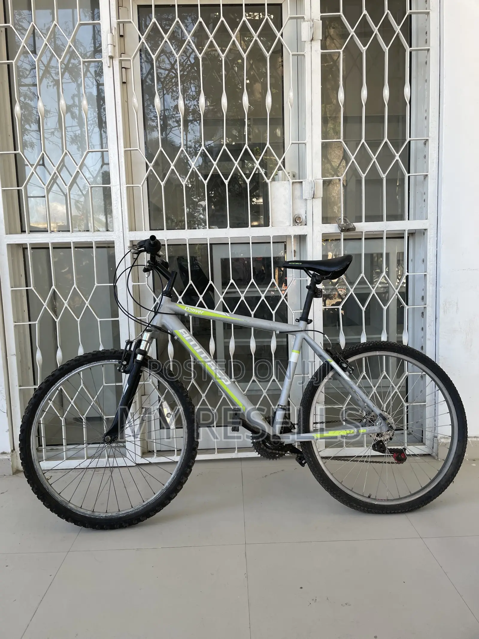 Mountain Bike