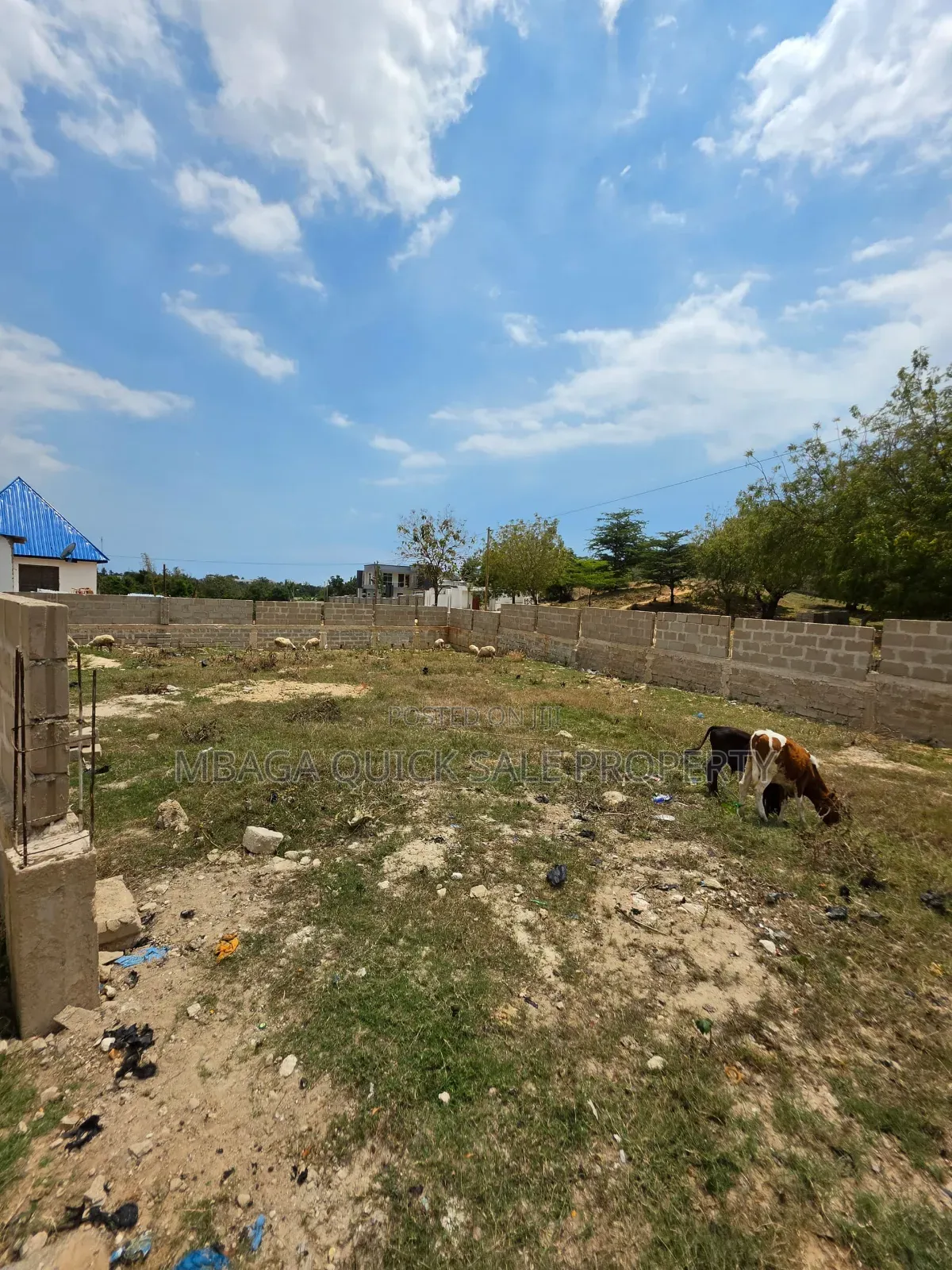 Plot Area SQM 450 for Sale in Salasala