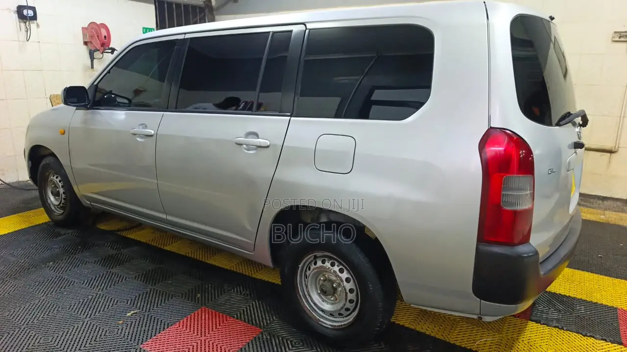 Toyota Probox 2013 Silver