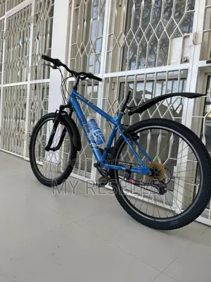 Mountain Bicycle
