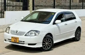 Toyota Allex 2005 White