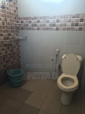 Furnished Studio Apartment in Kariakoo for rent