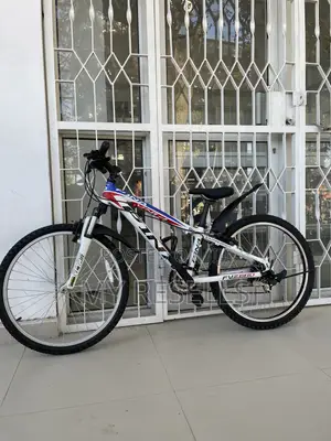 Mountain Bicycle