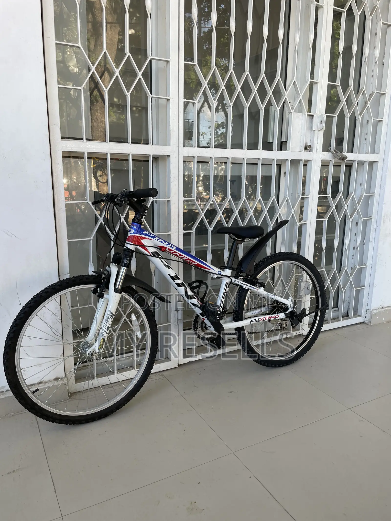 Mountain Bicycle