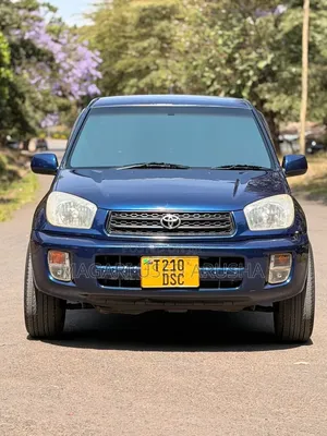 Toyota RAV4 2004 Blue