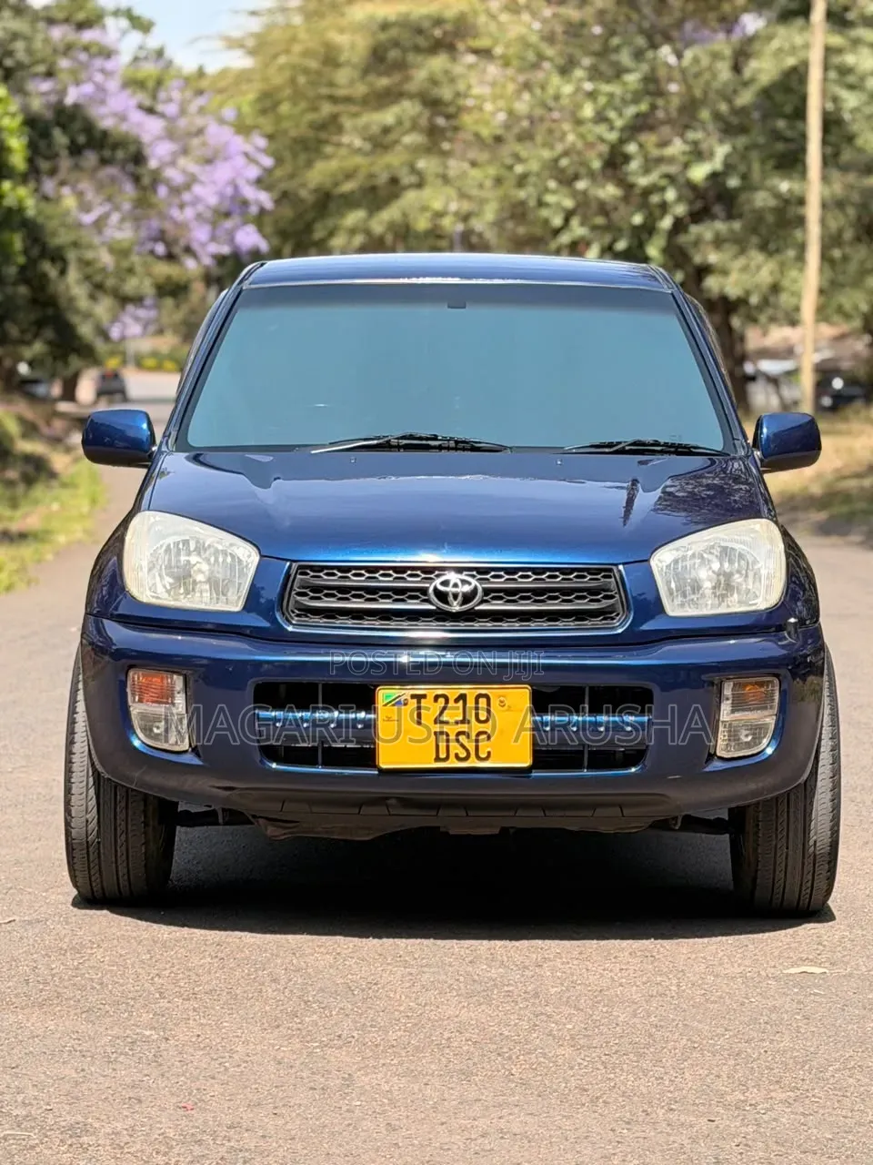Toyota RAV4 2004 Blue