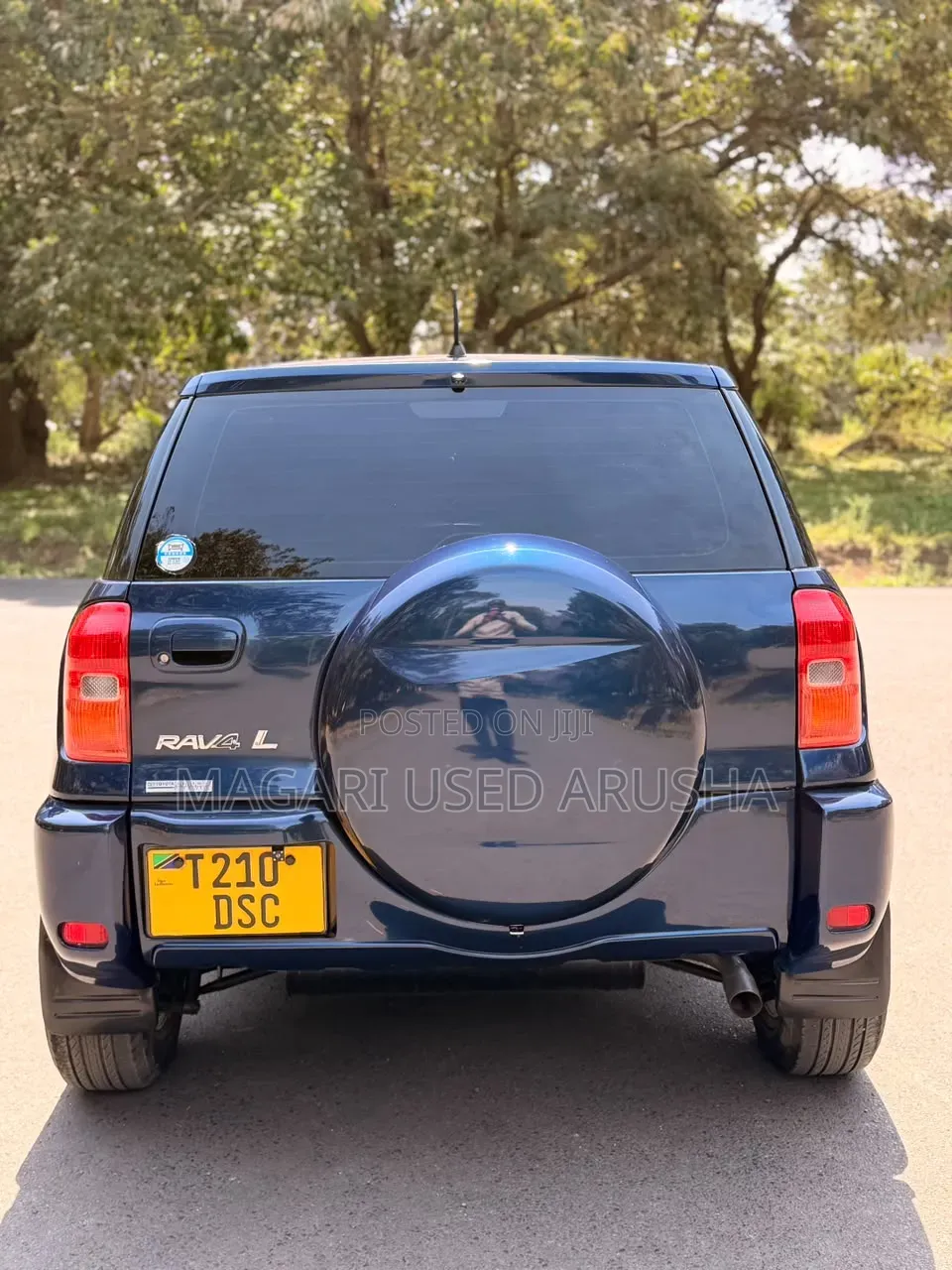 Toyota RAV4 2004 Blue