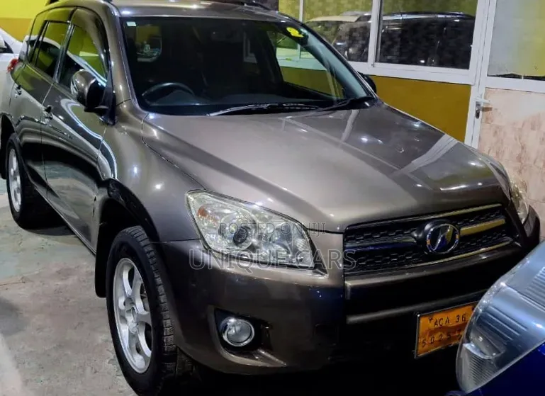 Toyota RAV4 2009 Brown