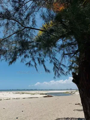 Beach Plot Area SQM 2000 for Sale at Mbezi Beach