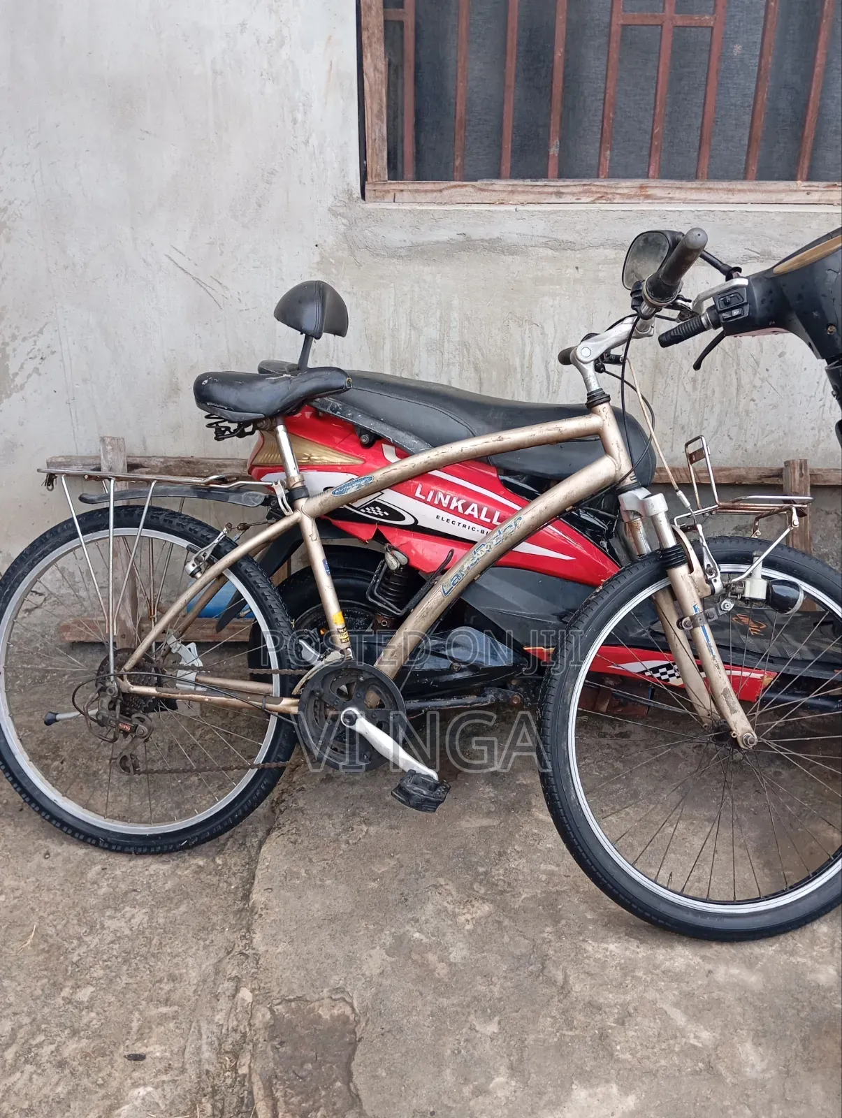 Mountain Bike