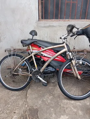 Mountain Bike