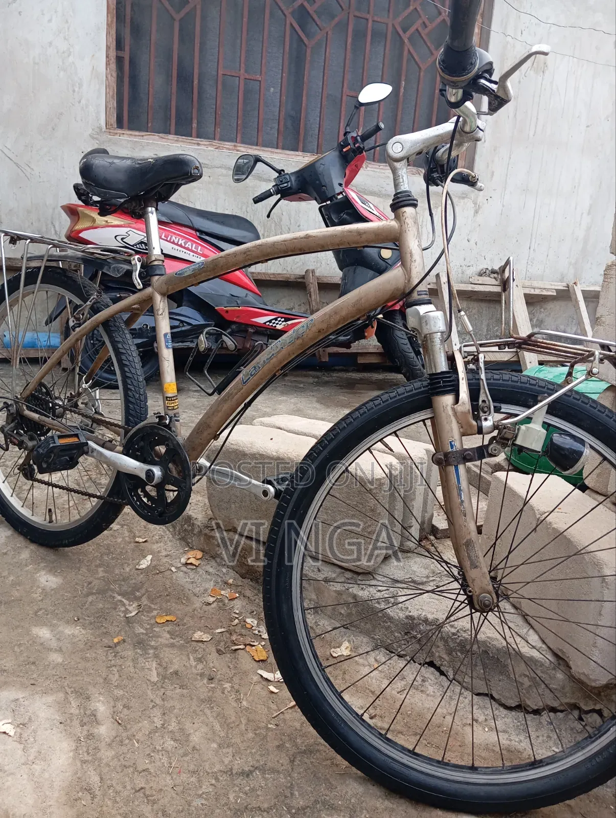 Mountain Bike