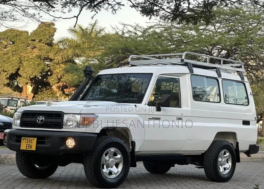 Toyota Land Cruiser 2010 Pearl