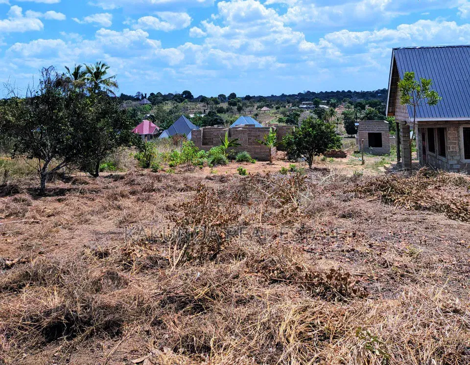 Viwanja Vinauzwa Kibaha Picha Ya Ndege Malipo Ya Kidogo Kidogo Yapo