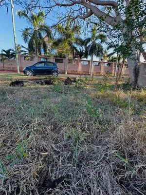 Sea View Plot Area SQM 1000 for Sale at Salasala