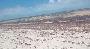 Beach Plot for Sale at Tanga Pangani
