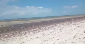 Beach Plot for Sale at Tanga Pangani