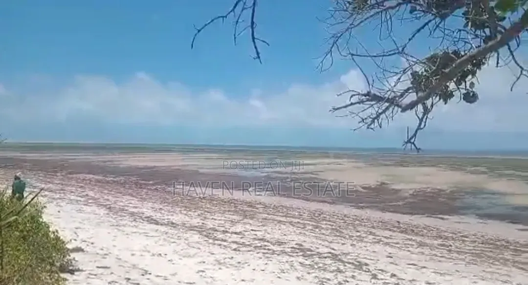 Beach Plot for Sale at Tanga Pangani