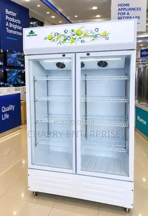 Three Rivers Showcase Fridge Beverage Cooler Perfect for Business 650l