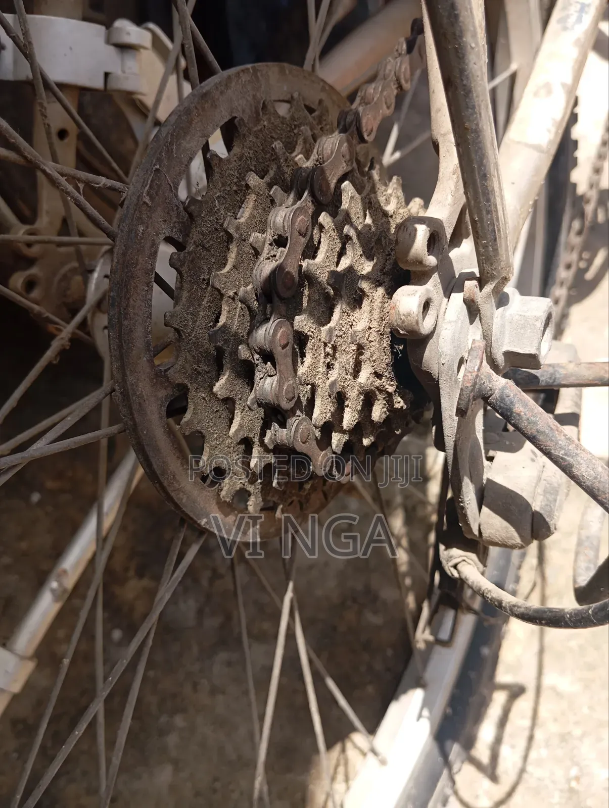 Mountain Bike