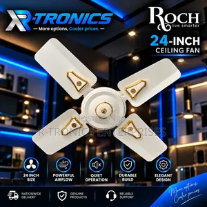 ROCH 24-Inch Ceiling Fan