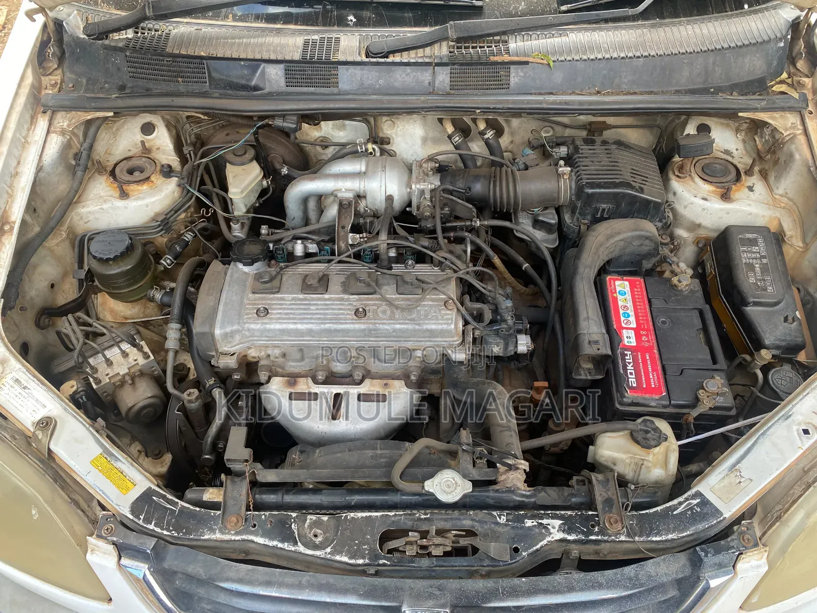 Toyota Raum 2000 Pearl
