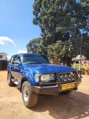 Toyota Land Cruiser 80 Wagon 4.2 D 1993 Blue