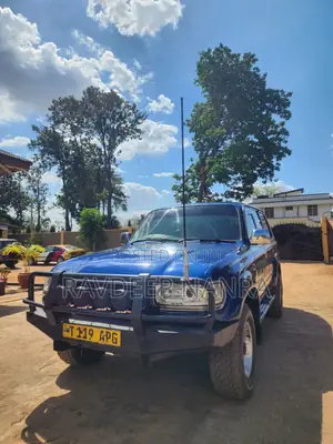 Toyota Land Cruiser 80 Wagon 4.2 D 1993 Blue