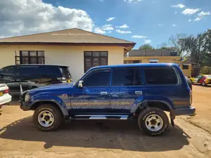 Toyota Land Cruiser 80 Wagon 4.2 D 1993 Blue