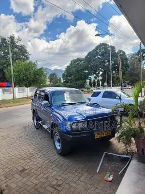 Toyota Land Cruiser 80 Wagon 4.2 D 1993 Blue