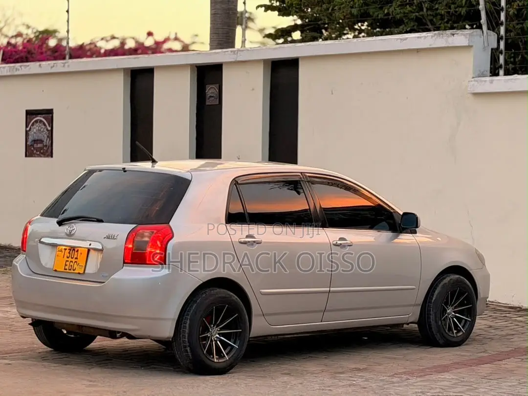 Toyota Allex 2003 Silver