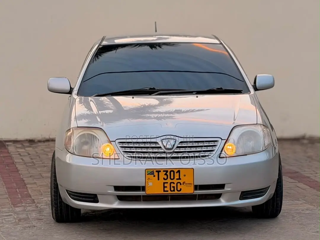 Toyota Allex 2003 Silver