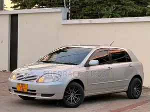 Toyota Allex 2003 Silver
