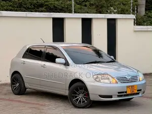 Toyota Allex 2003 Silver