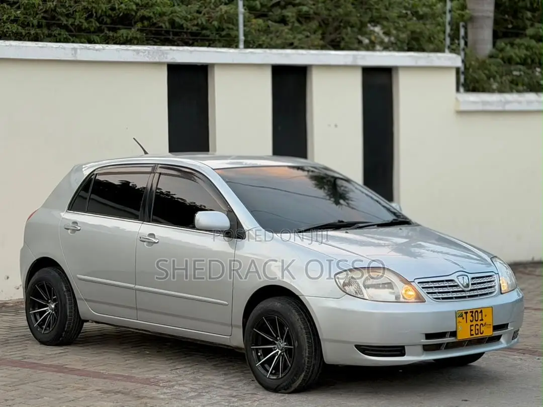 Toyota Allex 2003 Silver