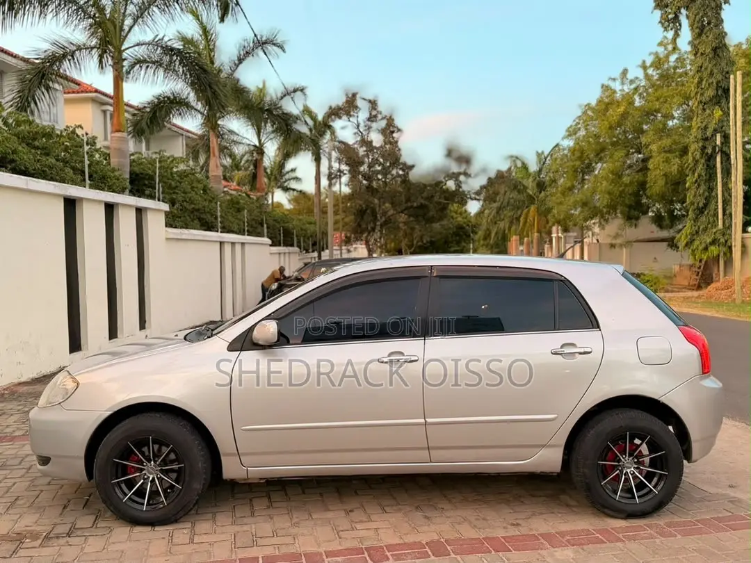 Toyota Allex 2003 Silver