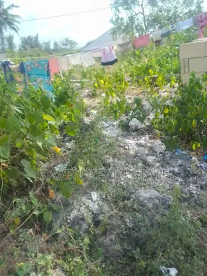 Plot for Sale at Jambiani Zanzibar