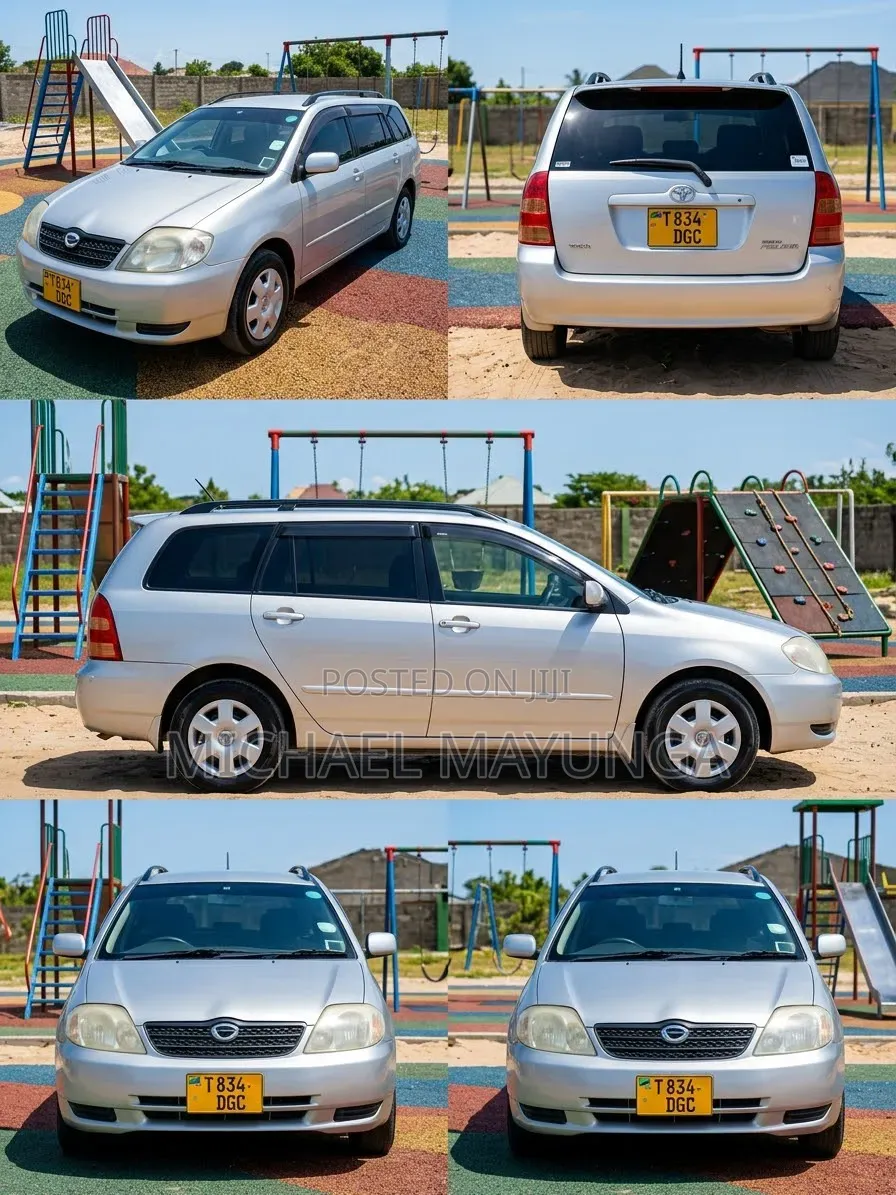 Toyota Corolla Fielder 1.5 Petrol AWD 2006 Silver