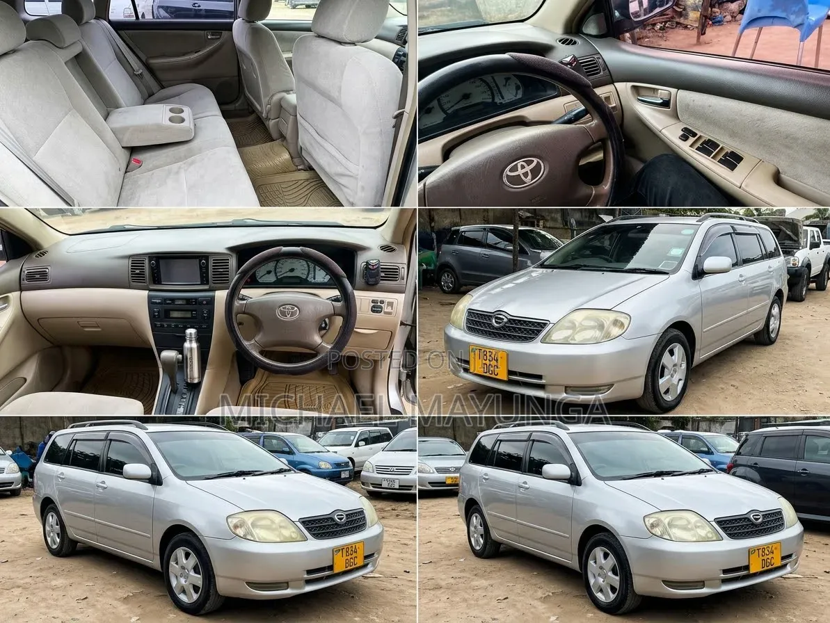 Toyota Corolla Fielder 1.5 Petrol AWD 2006 Silver